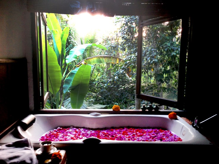 Bplans-ubud-botanica1