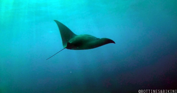 Capture d_écran 2015-10-08 à 06.28.03